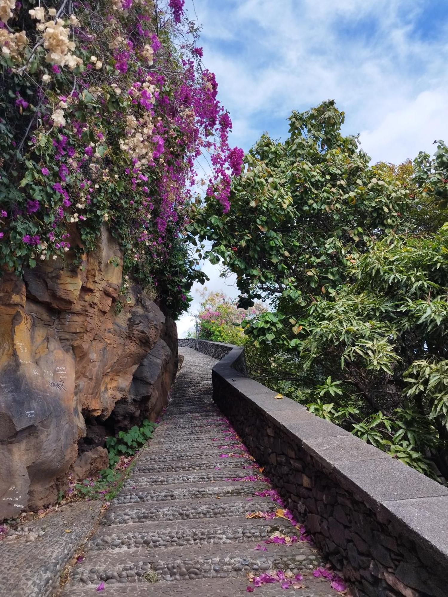Alexia Room Funchal  Exterior photo